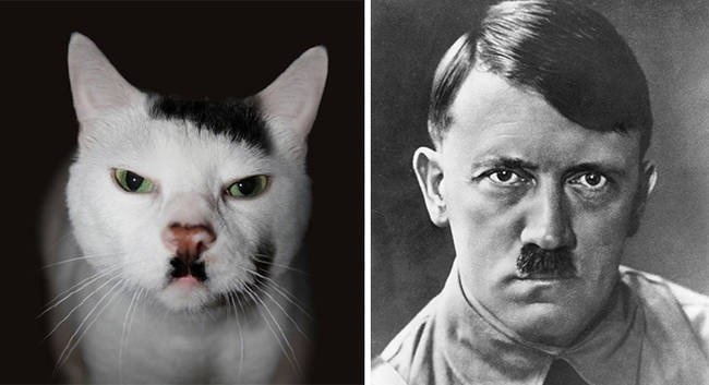 Heil Kitler.