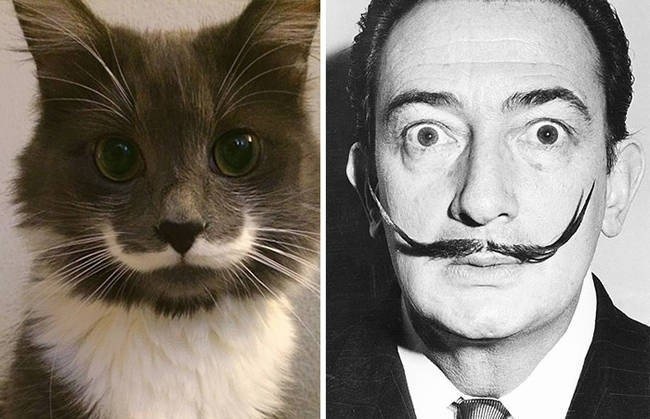 Two times the glorious mustaches.