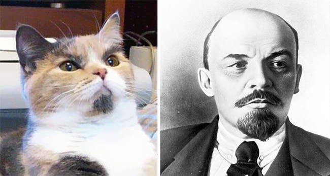 Separated at birth.