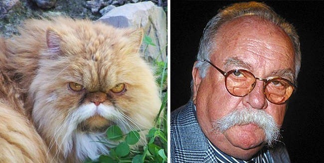 Wilfred Brimley has found his long lost twin.