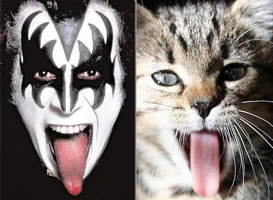 Both love a good lick.