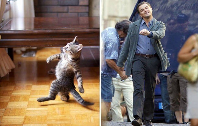 Twin swagger.