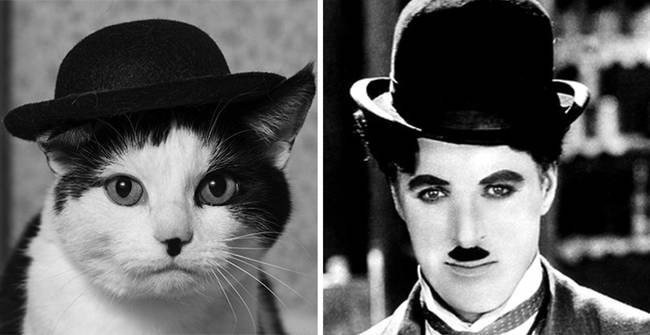 Charlie Catlin.