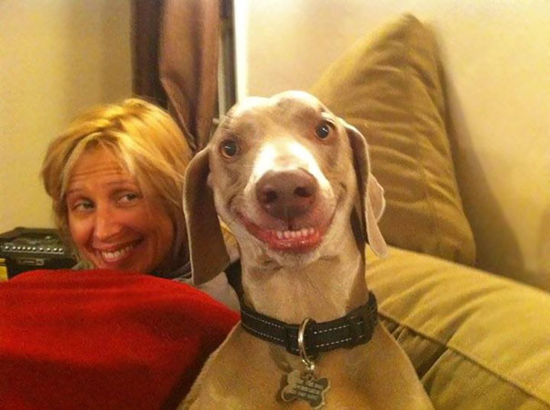 funny-animal-pics-1