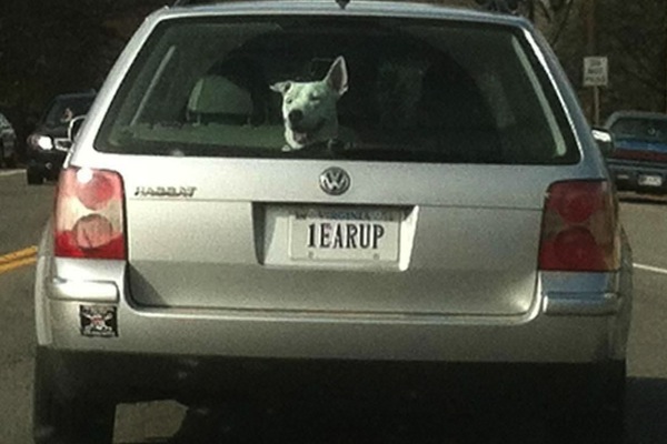 ironic license plates, funny license plates, 1earup