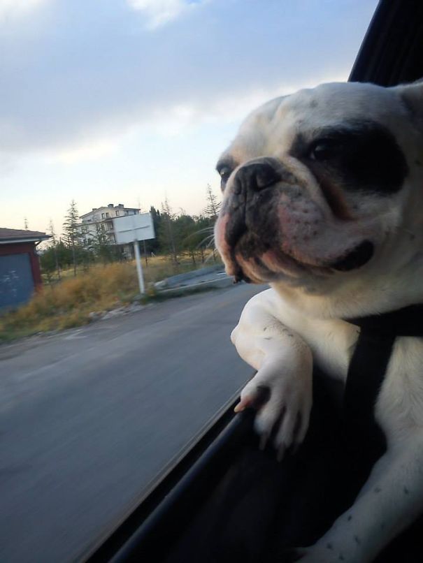 via: boredpanda.com