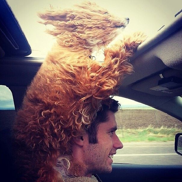 via: instagram.com