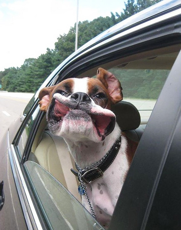 via: boredpanda.com