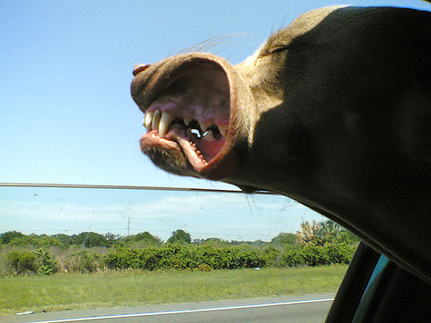 via: flickr.com