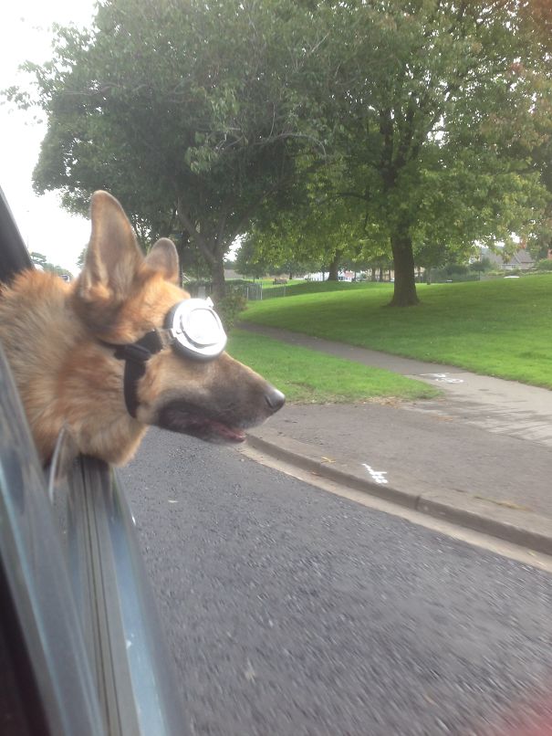 via: boredpanda.com